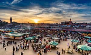 Explore the Djemaa el Fnaa market in Marrakech