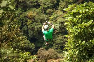 Zipline through Panama's cloud forest