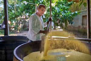 Explore Amazonian cuisine with a traditional cooking class