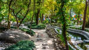 Explore the Norbulingka Institute in Dharamsala