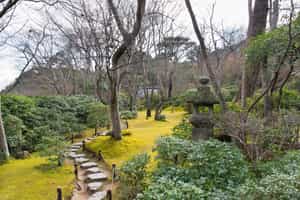 Climb up to Okochi Sanso Garden