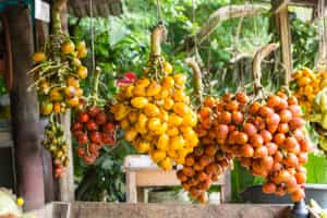 Learn about Costa Rican cuisine in a cooking class