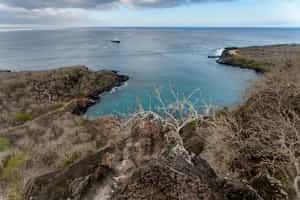 Visit Darwin's Bay in San Cristobal