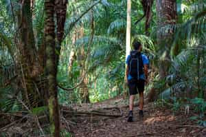 Hike the trails of Itacaré