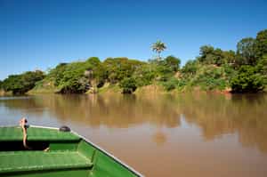 Go on a boating safari in Mato Grosso
