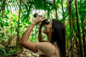 Go on a bird watching safari in the Amazonas