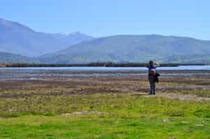 Take a Birdwatching Day Tour in Laguna de Batuco