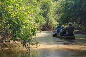 Explore Mato Grosso on a canoe safari