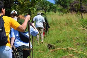 Walk along the Ololo Escarpment Trail