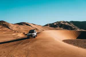 Take an expert-led 4x4 exploration