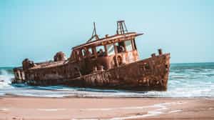 Visit the Skeleton Coast
