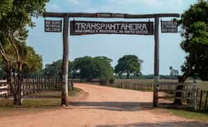 Enjoy a journey through the Transpantaneira Park Road,