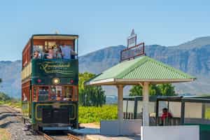 Drive out to Franschhoek for a wine tram adventure