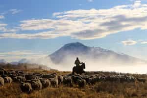 Enjoy a Full Day at La Península Estancia