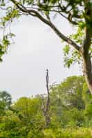 Enjoy a birdwatching tour 