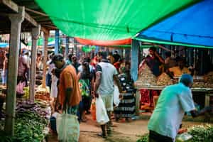 Visit the Anamaduwa friday market 