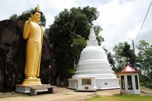 Visit the Yatagala Buddhist temple in Galle