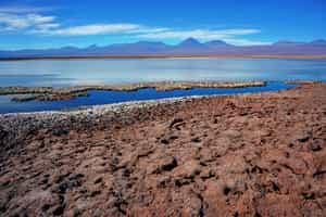 Visit the Hidden Lagoons of Baltinache