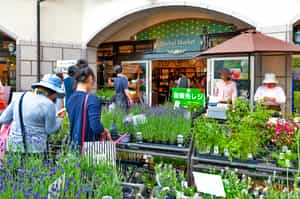 Enjoy a day trip to Kobe 