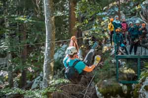 Visit the zipline park