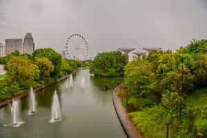 Enjoy a Half Day Gardens by the Bay and an Orchid Garden tour