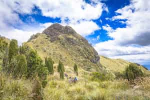 Trek up the peaks of Cotopaxi NP