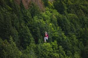 Soar through the clouds on the 'Condor Canopy' zipline