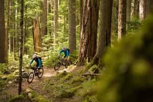 Explore the Huilo Huilo reserve by mountain bike