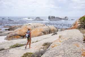 Listen to unique stories on a guided walk in Cape Town