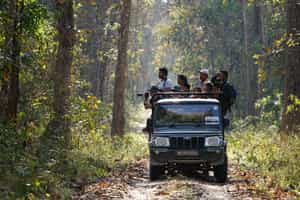 Explore Chitwan National Park on a jeep safari 