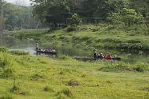 See the wildlife of Chitwan NP on a canoe safari