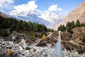 Challenge yourself to the Manaslu Circuit Trek