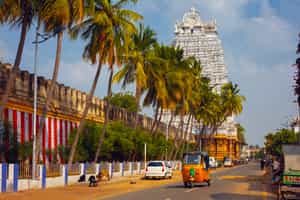 Take a walking city tour of Trichy 
