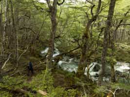 Discover Yendegaia National Park