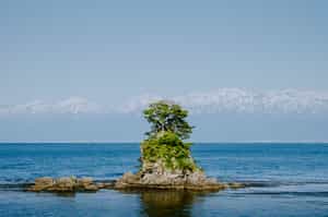 Enjoy the views of Amaharashi Coast in Toyama