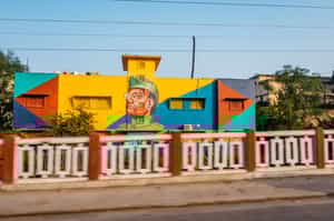 Take Street Art Tour in Delhi