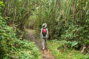 Go on the Las Mariolas hike in the Arenal area