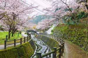 Visit the Village of Secret Kilns near Takeo Onsen