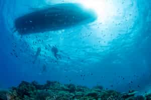 Go scuba diving in Okinawa