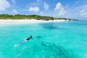 Snorkel in the crystal clear waters of Okinawa