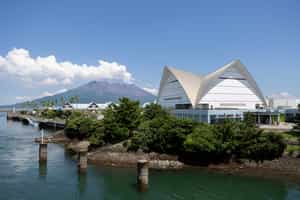 Visit the Kagoshima City Aquarium