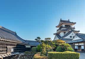 Visit the historic Kochi Castle