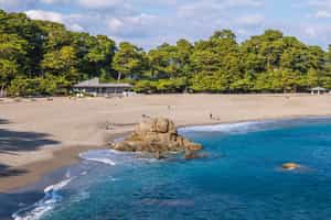 Discover the white sandy beaches of Kochi