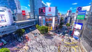 Visit Shibuya in Tokyo