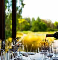 Taste the variety of Argentinian wines with a local connoisseur 