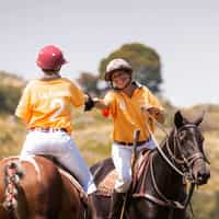 Take part in weekly informal polo sessions