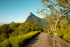 Hike Corcovado all the way to Christ the Redeemer