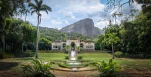 Visit Parque Lage 