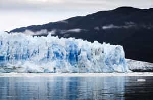 Take in views of Pio XI Glacier on a cruise