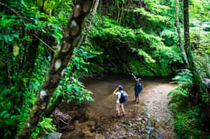 Trek the various trails of Okinawa